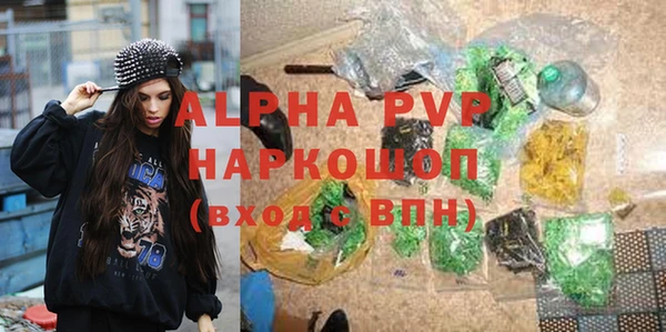 молекула духа Балахна