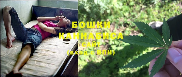 молекула духа Балахна