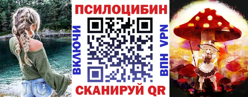 omg зеркало Североуральск Галлюциногенные грибы Psilocybe